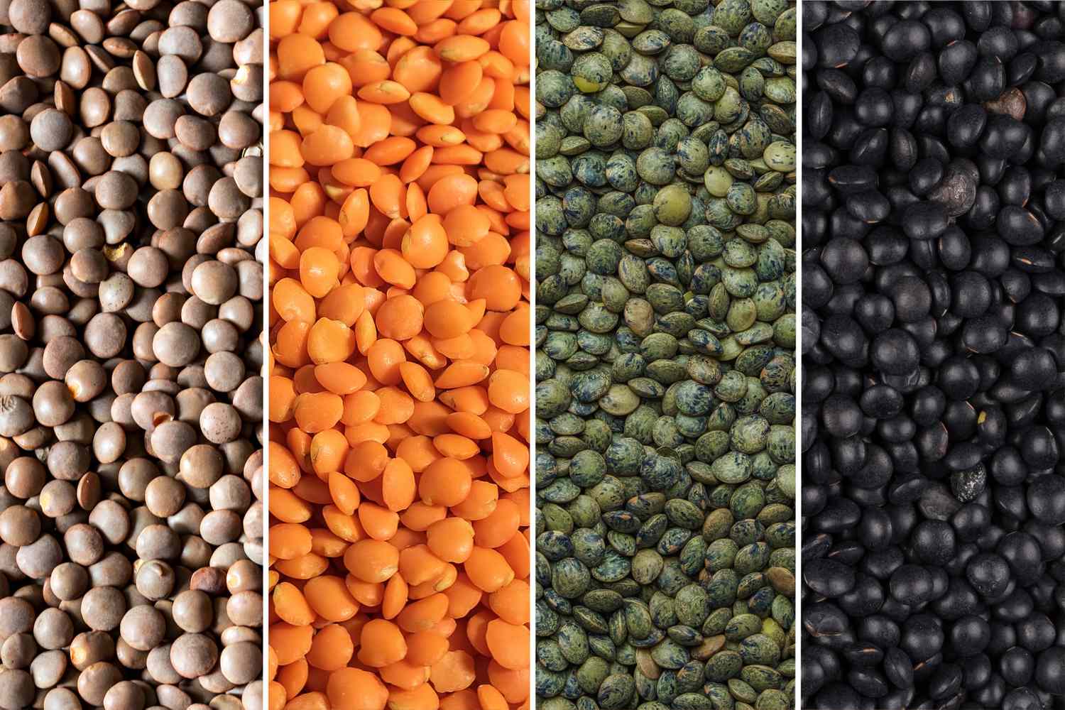 ডাল (Lentil)