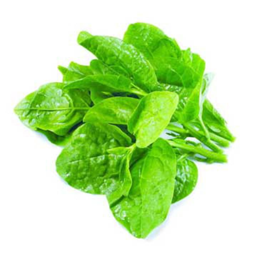 পুঁই শাক (Malabar Spinach)