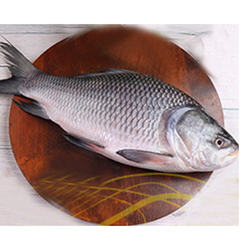 কাতলা মাছ (Katla Fish) 1kg