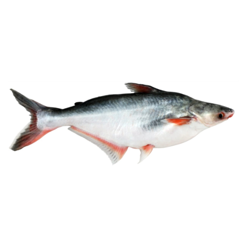 পাঙ্গাস (Pangas) 1kg