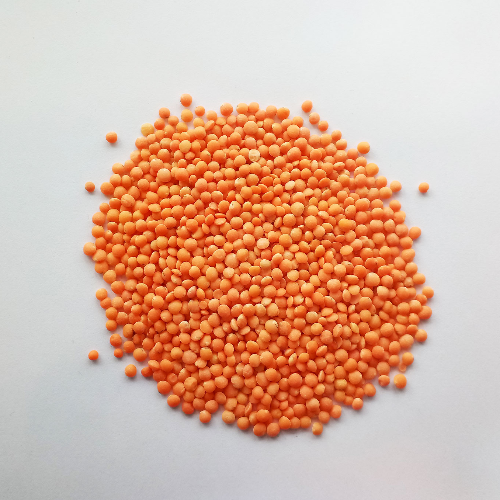 মসুর ডাল (Red Lentil)