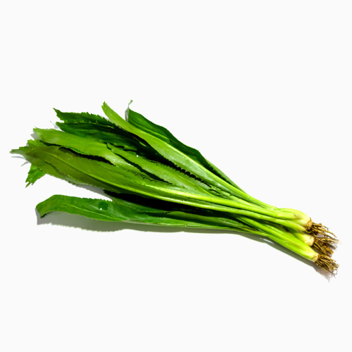 লম্বা ধনিয়া পাতা(long coriander leaves) 100gm