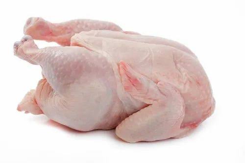 ব্রয়লার মুরগি (Broiler Chicken) 1.5kg (+-50gm